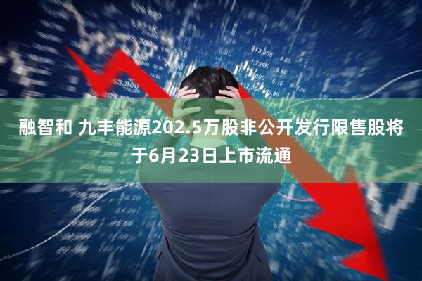 融智和 九丰能源202.5万股非公开发行限售股将于6月23日上市流通