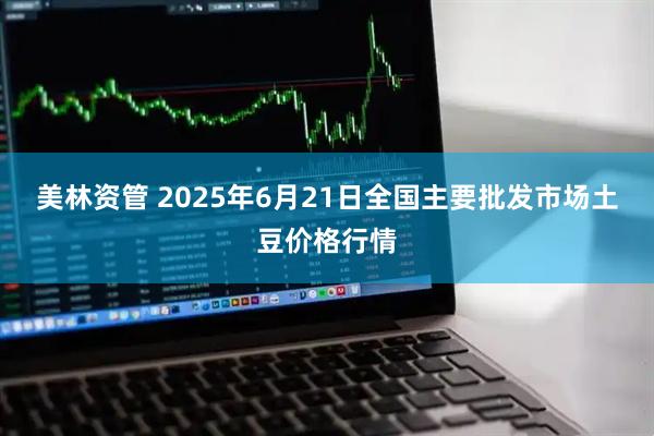 美林资管 2025年6月21日全国主要批发市场土豆价格行情