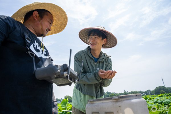 金策略 城事 | 种荷花年销千万，95后上海新农人立志农事升级