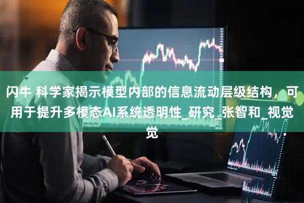 闪牛 科学家揭示模型内部的信息流动层级结构,可用于提升多模态AI系统透明性_研究_张智和_视觉