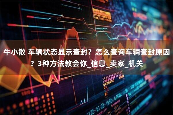 牛小散 车辆状态显示查封?怎么查询车辆查封原因?3种方法教会你_信息_卖家_机关