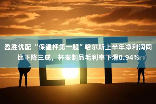 盈胜优配 “保温杯第一股”哈尔斯上半年净利润同比下降三成,杯壶制品毛利率下滑0.94%